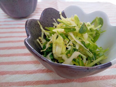 キャベツと豆苗のクミンピーナッツのサラダ